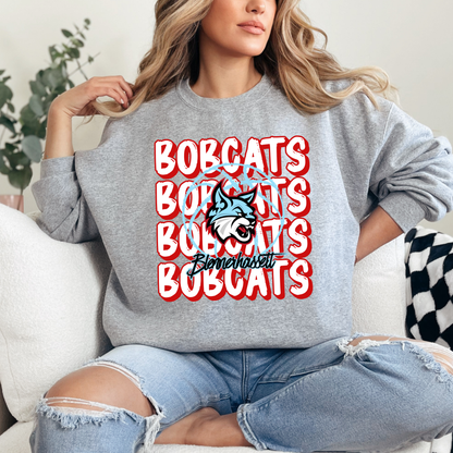 Bobcats Basketball