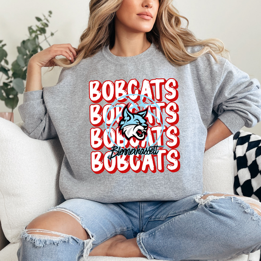 Bobcats Basketball